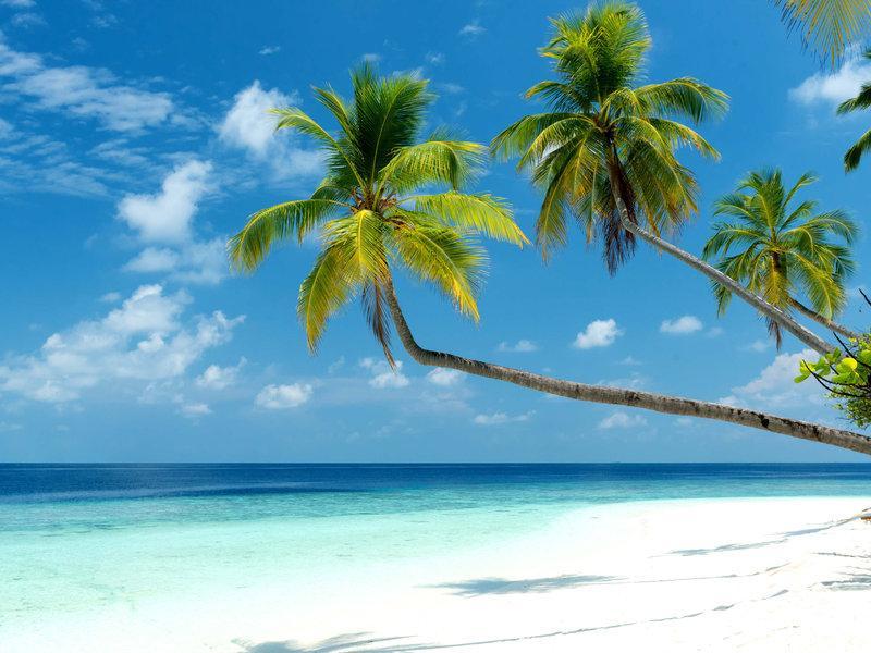 Mercure Maldives Kooddoo Adults-Only Resort - 35 Percent Off Return Domestic Transfers For Two Adults Until September Viligili Eksteriør bilde